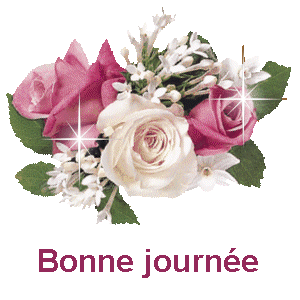 bonne journée